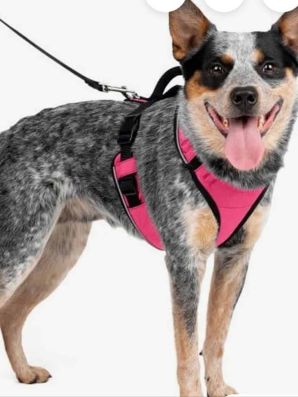 PetSafe EasySport Dog Harness Medium Pink Padded Adjustable No Pull Control Hand